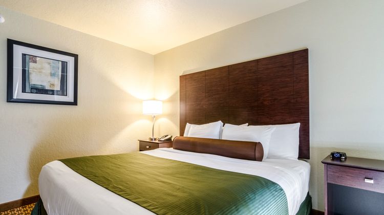 Cobblestone Inn & Suites Cambridge Room