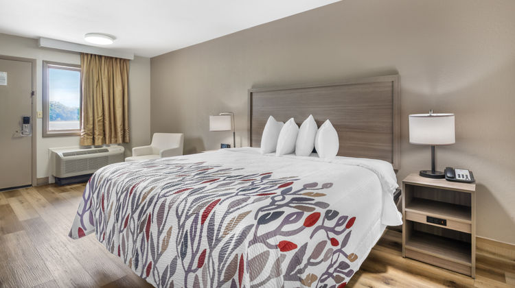 Red Roof Inn Staunton Room