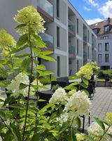 Hotel Am Kaisersaal