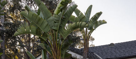 El Encanto Exterior
