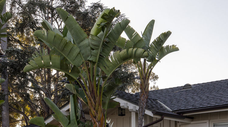 El Encanto Exterior