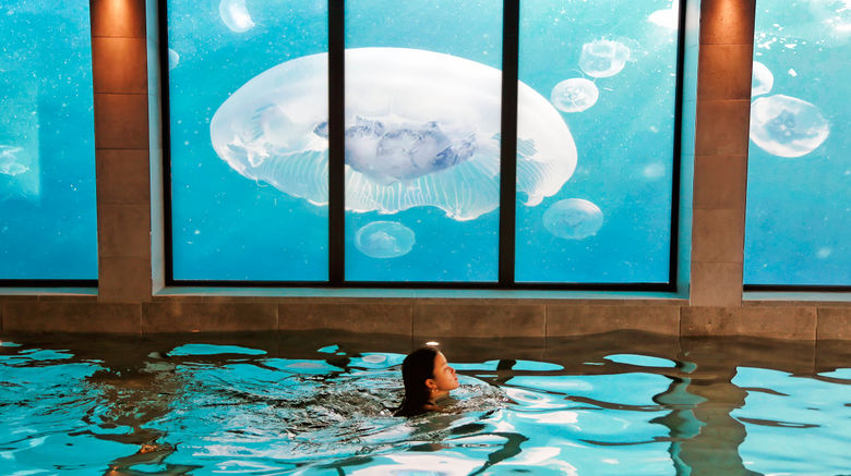 <b>Lincombe Hall Hotel Spa</b>. Images powered by <a href="https://www.leonardoworldwide.com/" title="Leonardo Worldwide" target="_blank">Leonardo</a>.