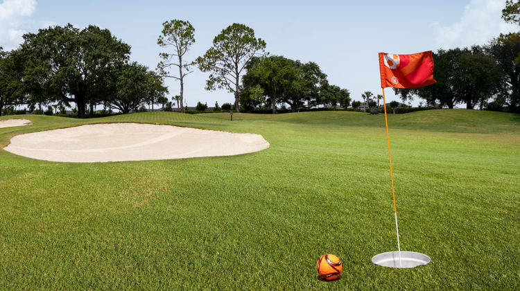 Holiday Inn Club Vacations Orange Lake Golf