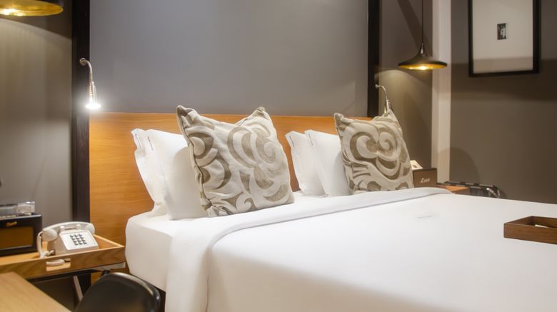 <b>Brown's Downtown Hotel Room</b>. Images powered by <a href="https://www.leonardoworldwide.com/" title="Leonardo Worldwide" target="_blank">Leonardo</a>.