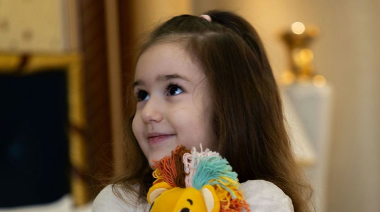 The Ritz-Carlton, Riyadh Other