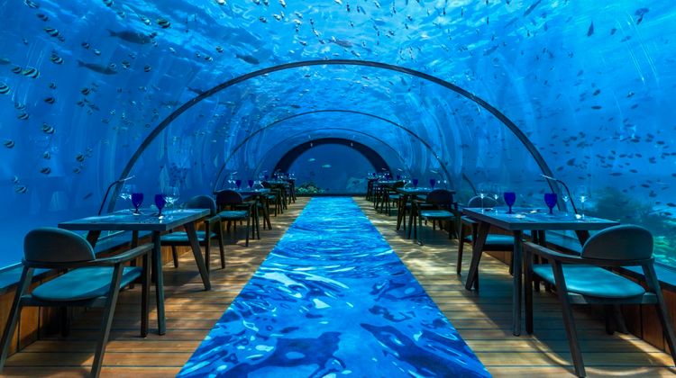 Hurawalhi Island Resort, Maldives Lobby