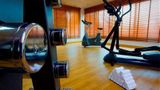 <b>Holiday Inn Express Dubai, Safa Park Health Club</b>. Images powered by <a href="https://www.leonardoworldwide.com/" title="Leonardo Worldwide" target="_blank">Leonardo</a>.