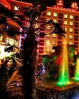 Airlines Travel Hotel