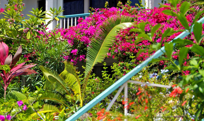 Grand Case Beach Club Exterior