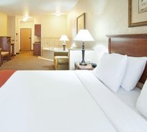 Holiday Inn Express Hotel & Suites Room