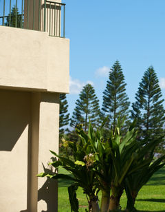 Paniolo Greens Resort