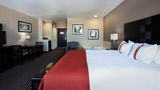 Holiday Inn San Antonio North Stone Oak Suite