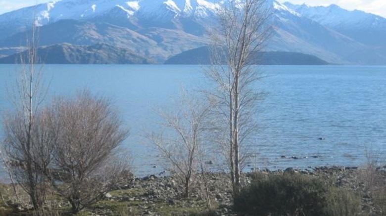 <b>Bella Vista Motel Wanaka Other</b>. Images powered by <a href="https://www.leonardoworldwide.com/" title="Leonardo Worldwide" target="_blank">Leonardo</a>.