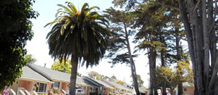 Butterfly Grove Inn Exterior