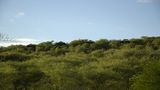 andBeyond Grumeti Serengeti River Lodge Exterior