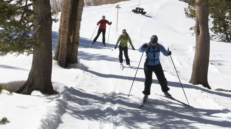 <b>Tamarack Lodge Resort Other</b>. Images powered by <a href="https://www.leonardoworldwide.com/" title="Leonardo Worldwide" target="_blank">Leonardo</a>.