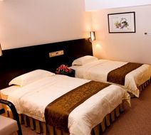 Skyline Plaza Hotel Room