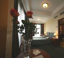 Hotel President Room