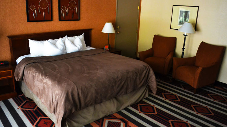 Nativo Lodge Room