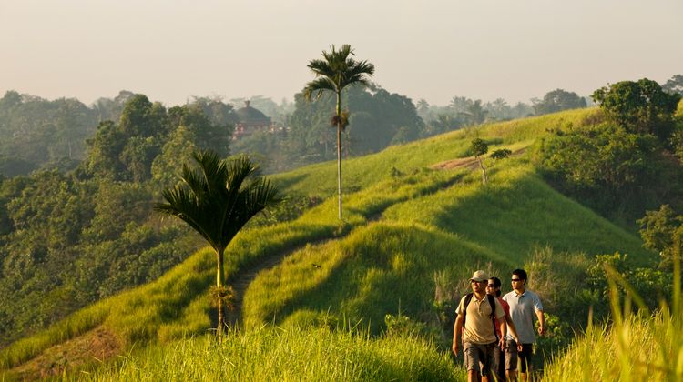 COMO Uma Ubud Recreation