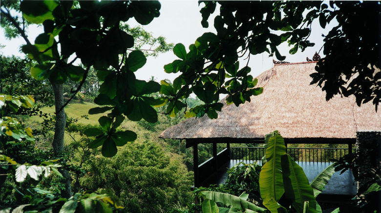 <b>COMO Uma Ubud Recreation</b>. Images powered by <a href="https://leonardo.com/" title="Leonardo Worldwide" target="_blank">Leonardo</a>.