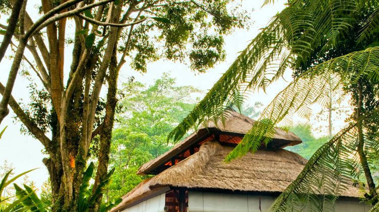 COMO Uma Ubud Restaurant