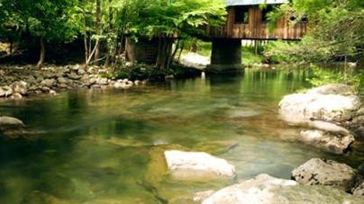 Brookside Resort Other