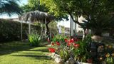 Giardino degli Aranci B & B Pool