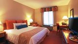 Hotel Plaza Real, San Jose Room