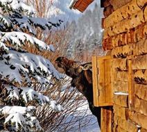 Rainbow Ranch Lodge Exterior