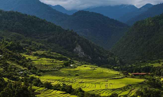 COMO Uma Punakha Exterior