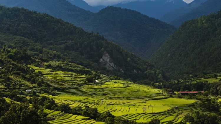 COMO Uma Punakha Exterior