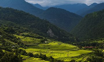 COMO Uma Punakha
