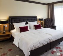 Der Heidehof Conference & SPA Resort Room