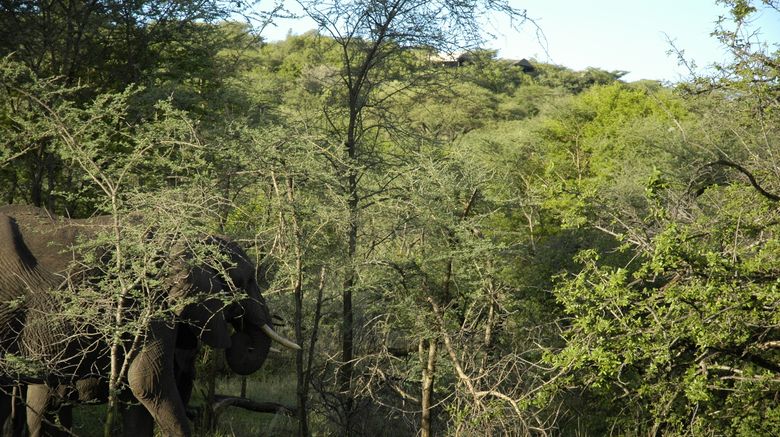 <b>andBeyond Grumeti Serengeti River Lodge Exterior</b>. Images powered by <a href="https://www.leonardoworldwide.com/" title="Leonardo Worldwide" target="_blank">Leonardo</a>.
