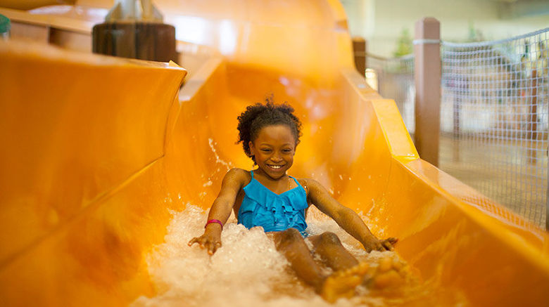 <b>Great Wolf Lodge Southern California Pool</b>. Images powered by <a href="https://www.leonardoworldwide.com/" title="Leonardo Worldwide" target="_blank">Leonardo</a>.