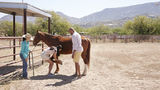 Miraval Arizona Resort & Spa Other