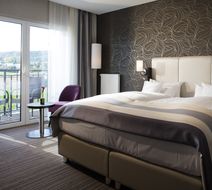 Vital Hotel Frankfurt Room
