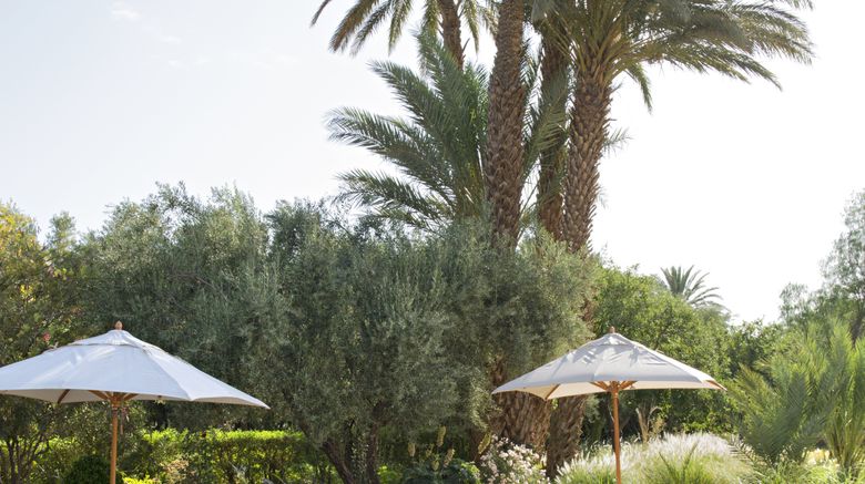 <b>Dar Ahlam Pool</b>. Images powered by <a href="https://www.leonardoworldwide.com/" title="Leonardo Worldwide" target="_blank">Leonardo</a>.