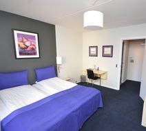 Hotel Danica Room