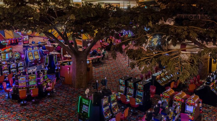 Fiesta Henderson Hotel & Casino Other
