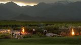 The Vines Resort & Spa Other