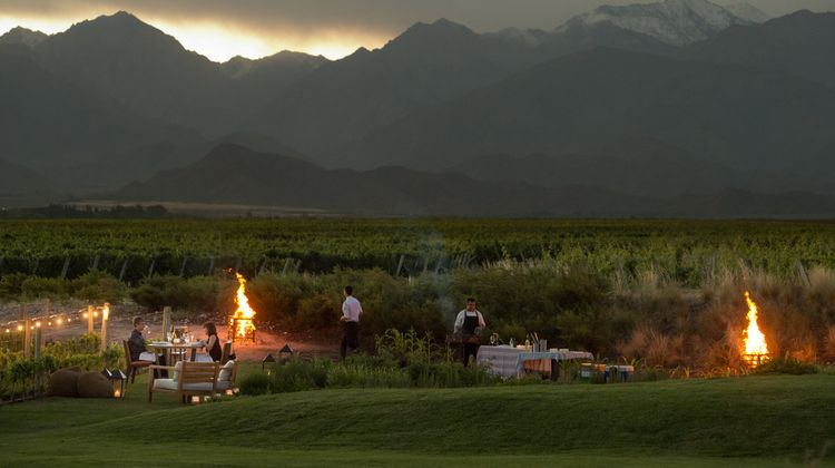 The Vines Resort & Spa Other