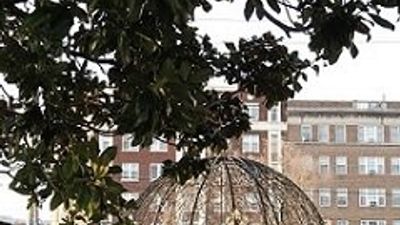 Birmingham Tree House