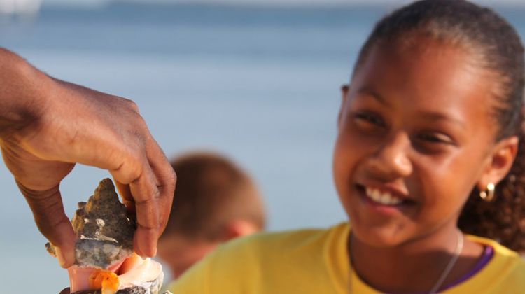 Abaco Beach Resort & Boat Harbour Recreation