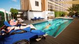 Arabian Courtyard Hotel & Spa Pool