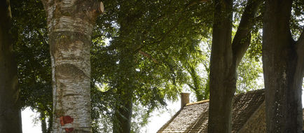 Dormy House Hotel Other