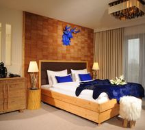 Hotel Fire & Ice Room