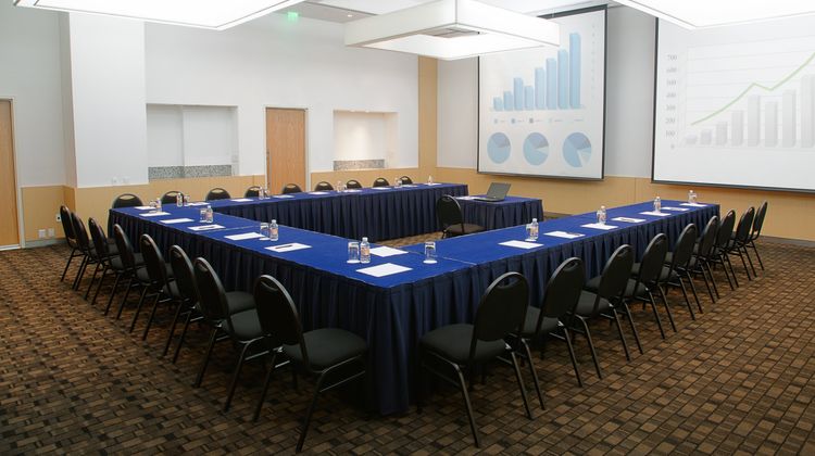Fiesta Inn Puebla Las Animas Meeting