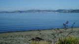 ASURE 83 by the Sea Petone Recreation
